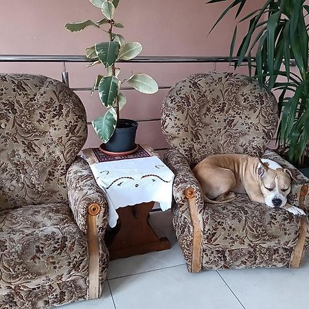 Noclegi Centrum Jelenia Gora Dış mekan fotoğraf