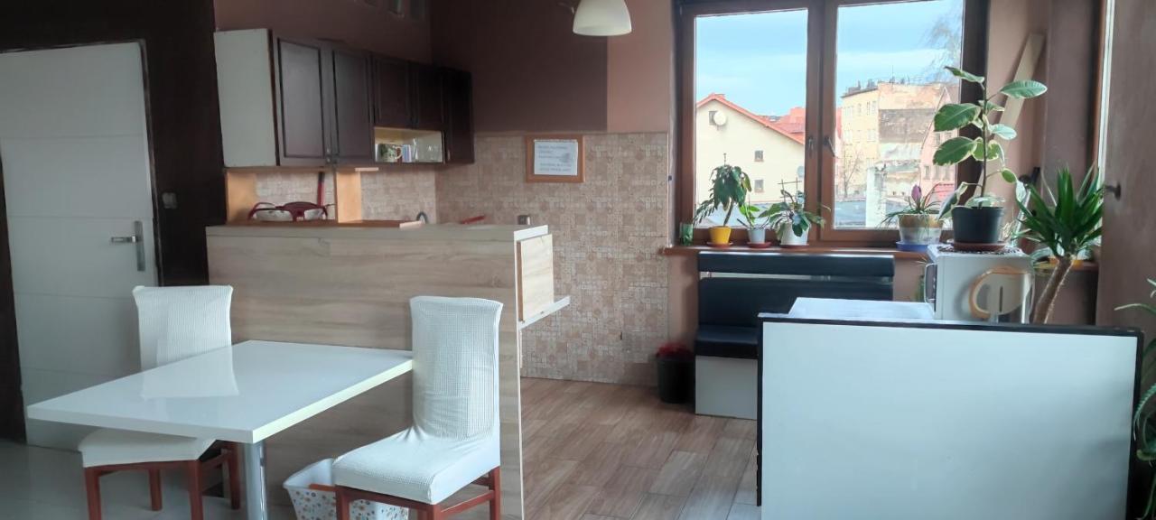 Noclegi Centrum Jelenia Gora Dış mekan fotoğraf