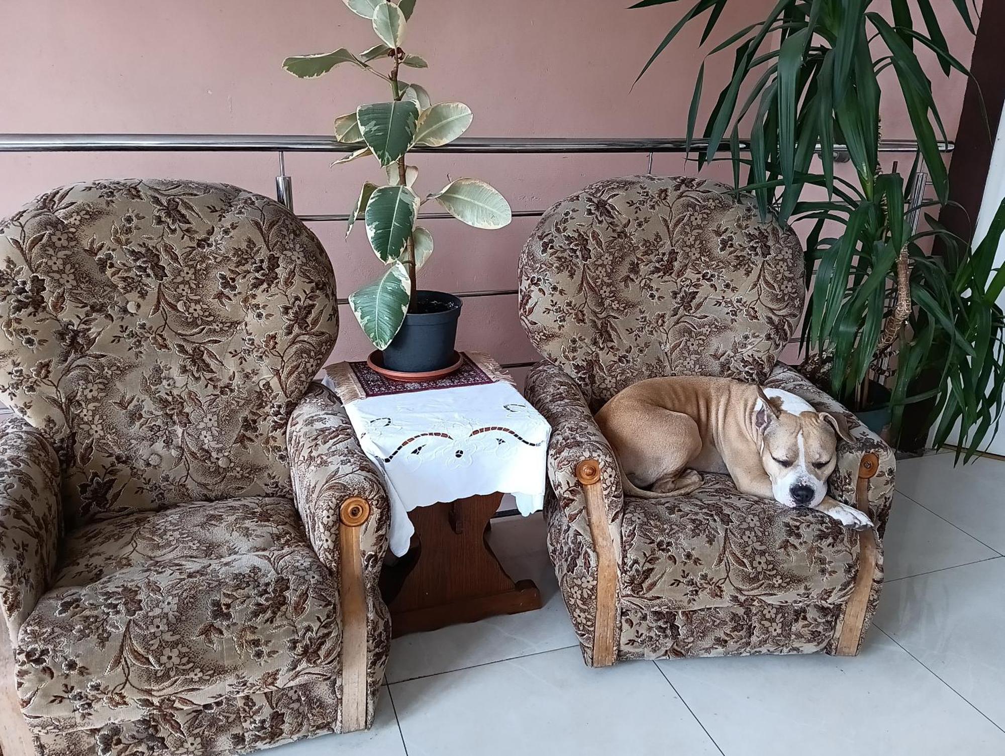 Noclegi Centrum Jelenia Gora Dış mekan fotoğraf