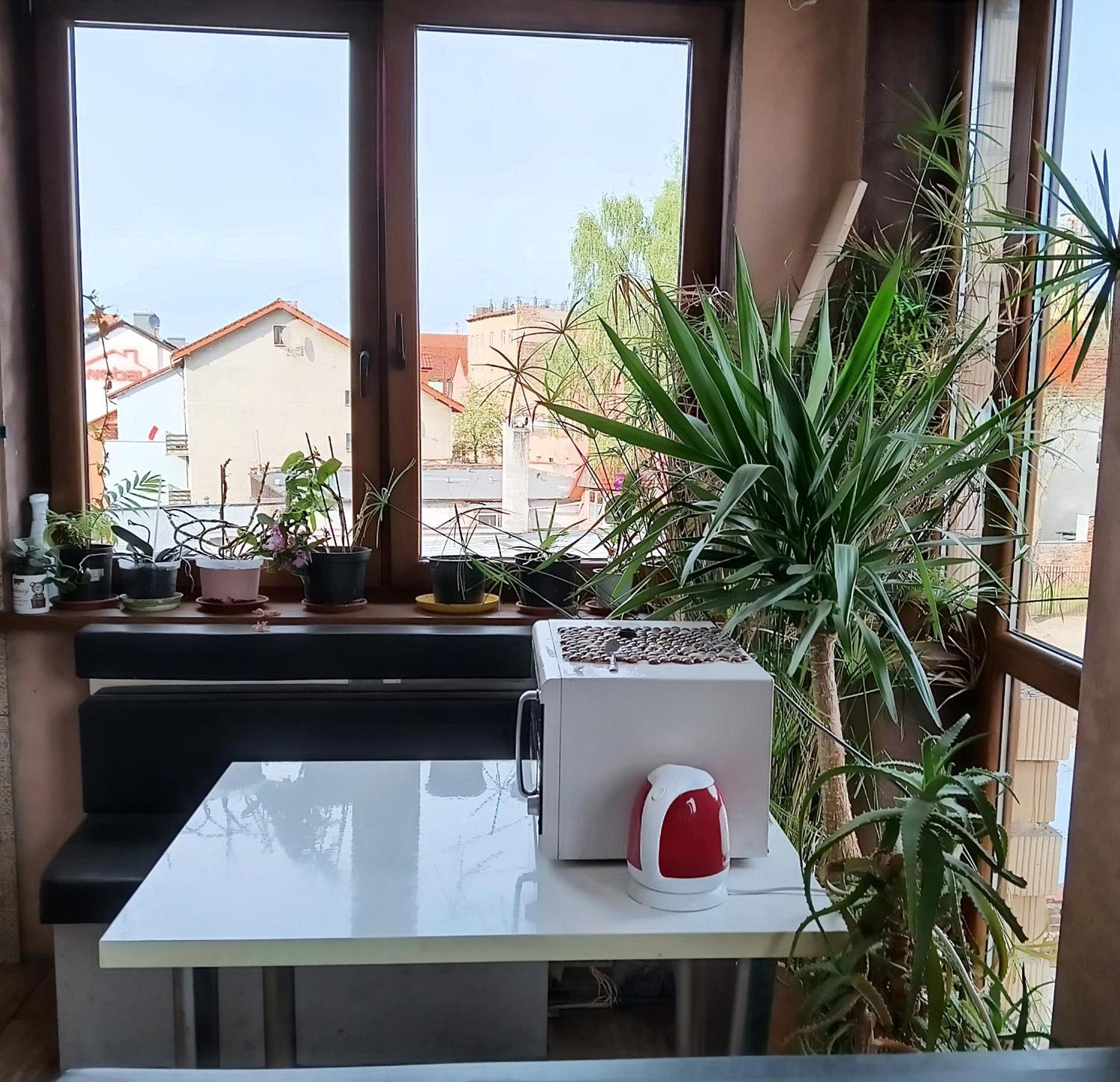 Noclegi Centrum Jelenia Gora Dış mekan fotoğraf